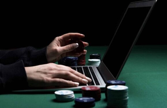 What Are the Details About the Online Casinos Now