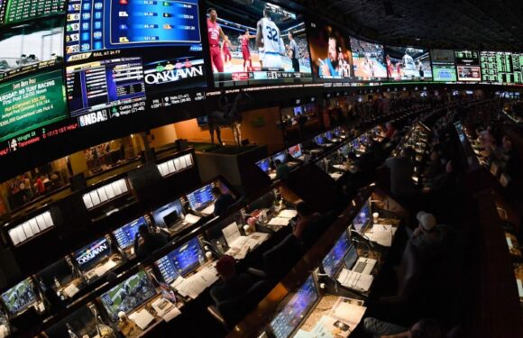 You Should be Having The Right Options In Sports Betting
