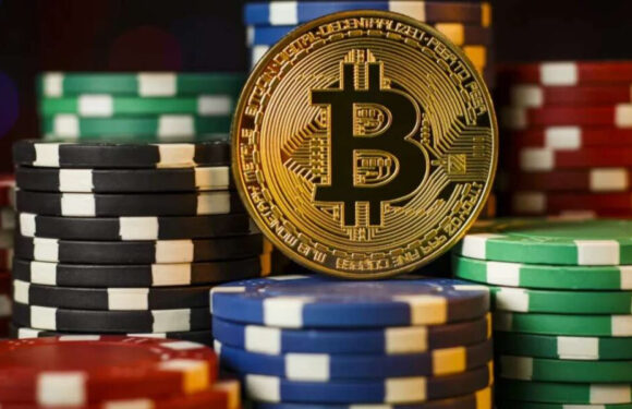 Tether slot platform qualities that signal reliability