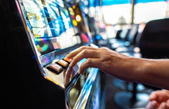 Dynamic Volatility Systems Delivering Variation Across Slot Gameplay Sessions