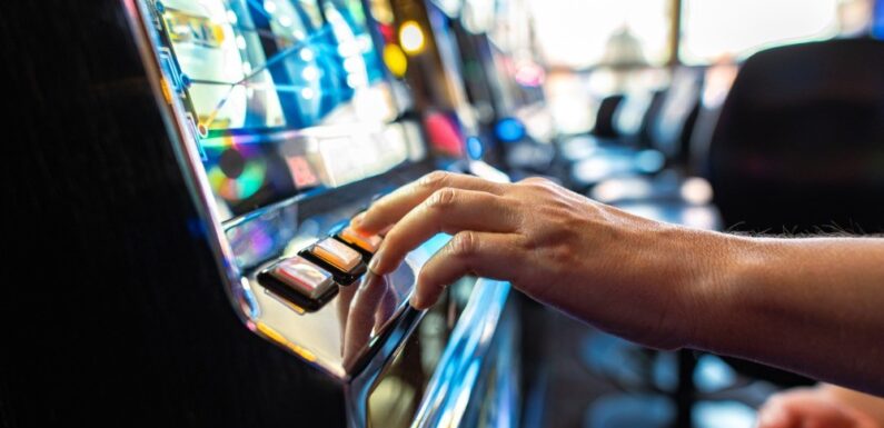 Dynamic Volatility Systems Delivering Variation Across Slot Gameplay Sessions