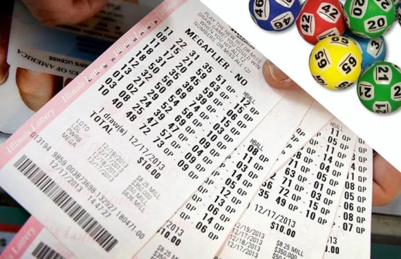 How does online lottery result processing follow each draw completion?